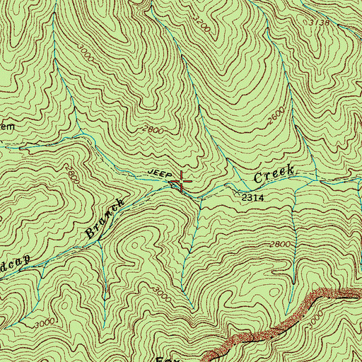 Topographic Map of Madcap Branch, NC