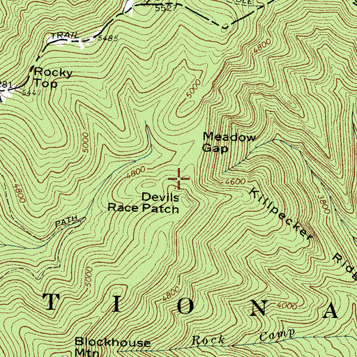 Topographic Map of Meadow Gap, NC