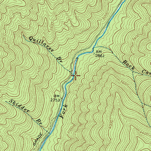 Topographic Map of Quillaree Branch, NC