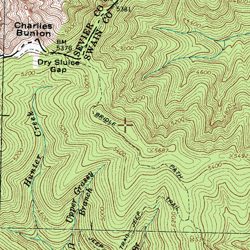 Topographic Map of Richland Mountain, NC