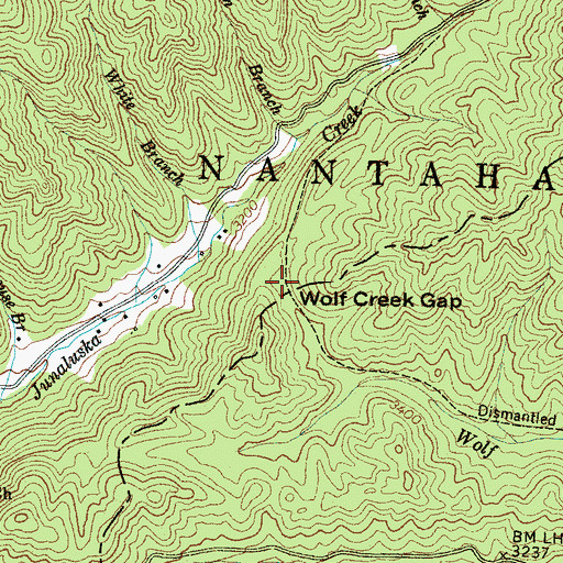 Topographic Map of Wolf Creek Gap, NC