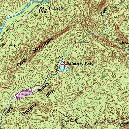 Topographic Map of Palmetto Lake Lower Dam, NC