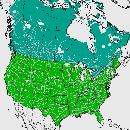 1:24K Coverage Map