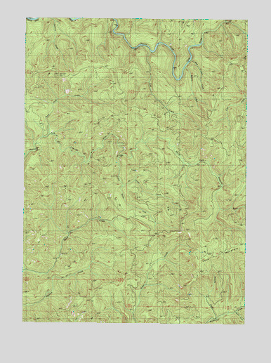 Coos Mountain, OR USGS Topographic Map