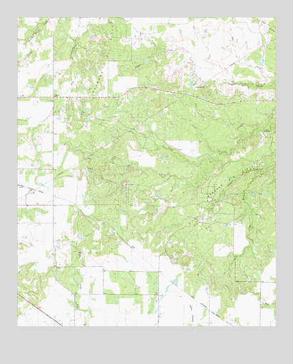 Cope Branch, TX USGS Topographic Map