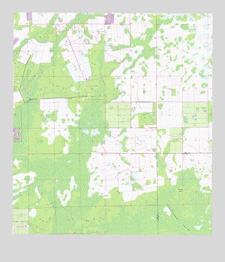 Corkscrew NW, FL USGS Topographic Map