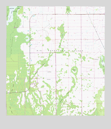 Corkscrew SE, FL USGS Topographic Map
