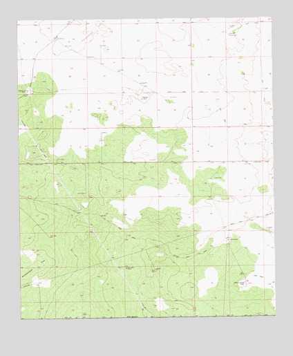 Andrews Place, NM USGS Topographic Map