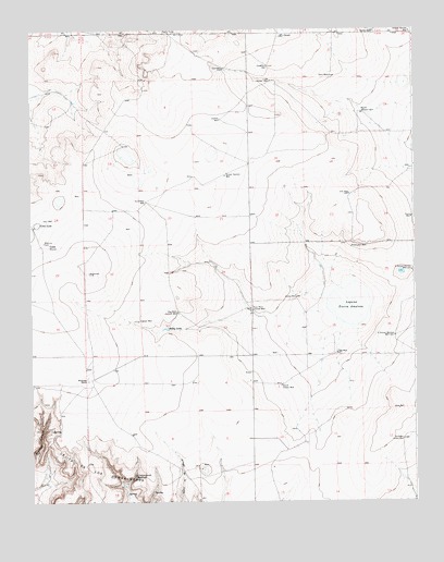 Cottonwood Springs, NM USGS Topographic Map