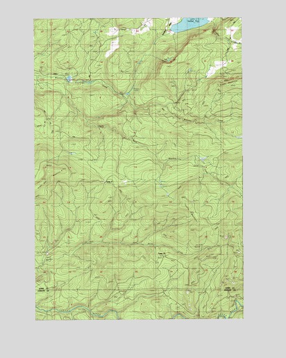 Coyote Mountain, WA USGS Topographic Map