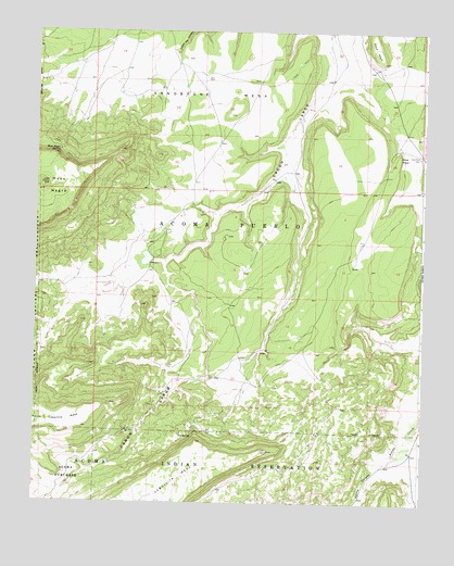 Crow Point, NM USGS Topographic Map