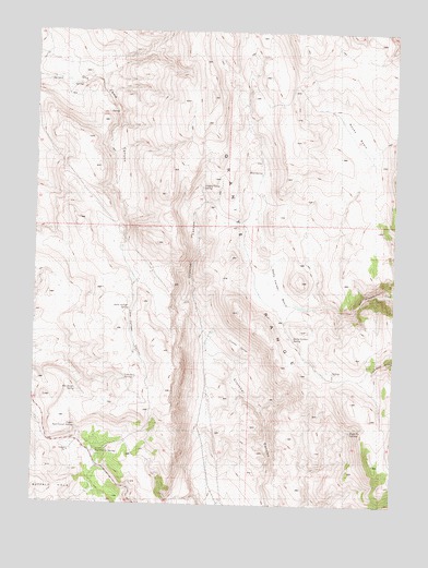 Crutcher Canyon, NV USGS Topographic Map
