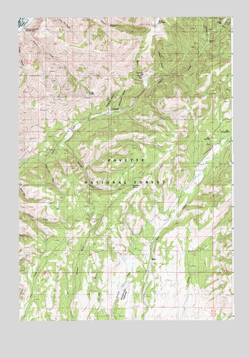 Cuprum, ID USGS Topographic Map
