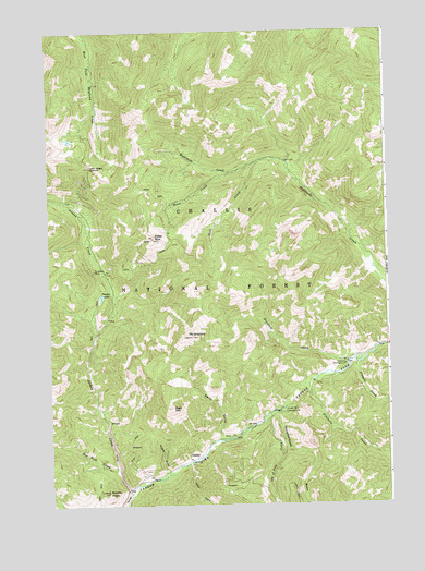 Custer, ID USGS Topographic Map