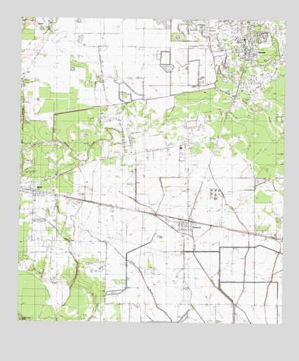 Daisetta, TX USGS Topographic Map