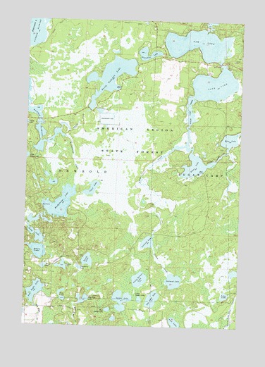 Dam Lake, WI USGS Topographic Map