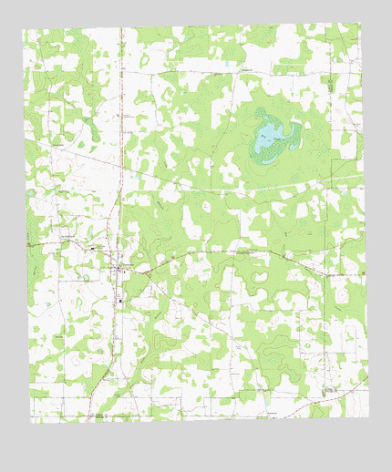 Damascus, GA USGS Topographic Map