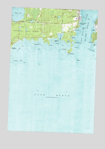 De Tour Village, MI USGS Topographic Map