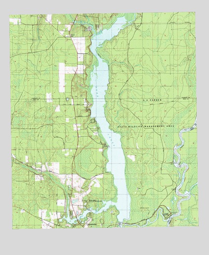 Dead Lakes, FL USGS Topographic Map