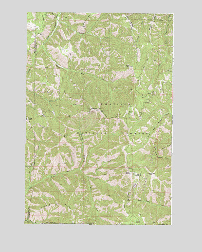 Deadman Peak, WA USGS Topographic Map