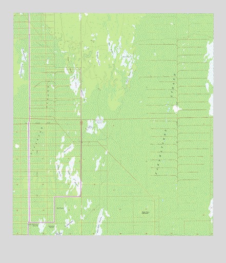 Deep Lake SW, FL USGS Topographic Map
