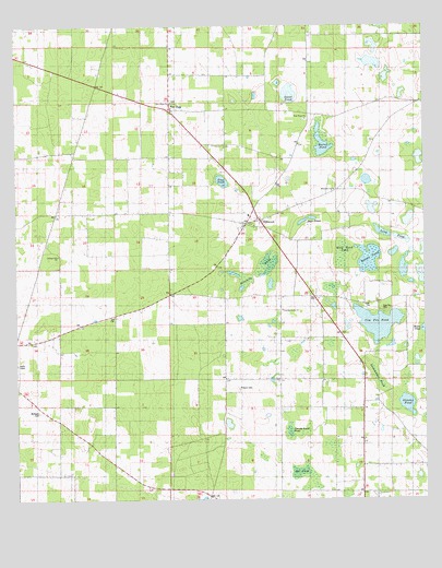 Dellwood, FL USGS Topographic Map