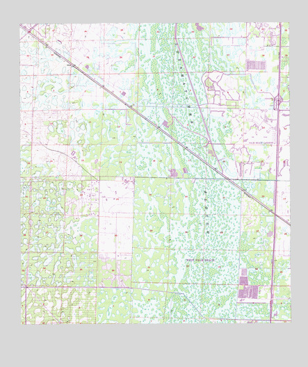 Delta, FL USGS Topographic Map