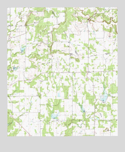 Democrat, TX USGS Topographic Map
