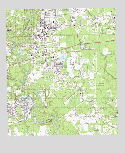 Denham Springs, LA USGS Topographic Map