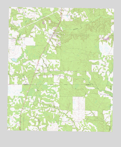 Denton, GA USGS Topographic Map