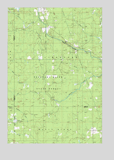 Diffin, MI USGS Topographic Map