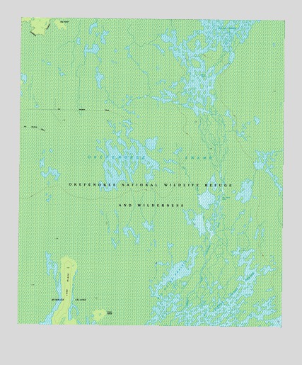 Dinner Pond, GA USGS Topographic Map