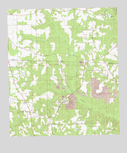 Dogtown, FL USGS Topographic Map
