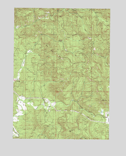 Dora, OR USGS Topographic Map