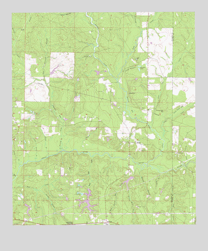 Dorcas, FL USGS Topographic Map