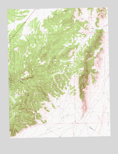Douglas, NV USGS Topographic Map