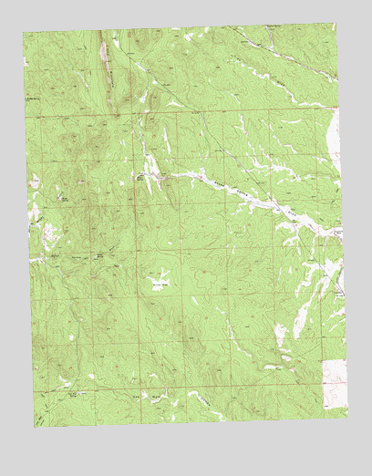 Dow Mountain, NV USGS Topographic Map