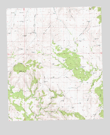 Applegate Mountain, NM USGS Topographic Map
