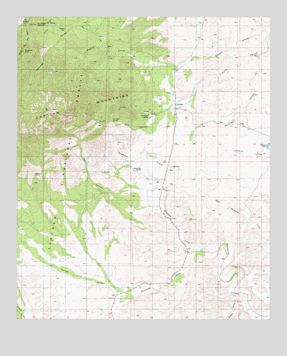 Arabela, NM USGS Topographic Map