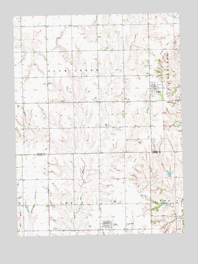 Dwight, NE USGS Topographic Map