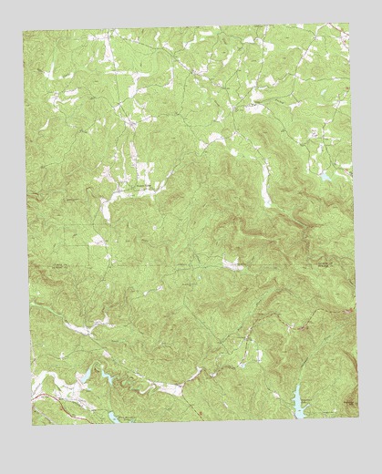 Dyke, GA USGS Topographic Map