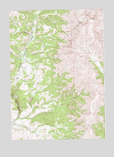 East Fork Basin, WY USGS Topographic Map