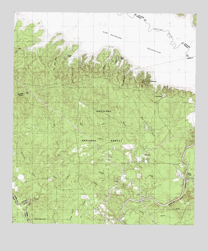 Ebenezer, TX USGS Topographic Map