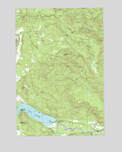 Elbe, WA USGS Topographic Map