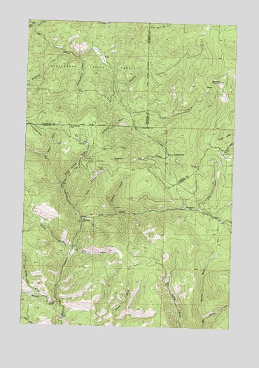 Elevation Mountain, MT USGS Topographic Map