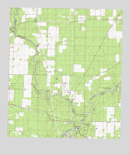 Ellaville, FL USGS Topographic Map