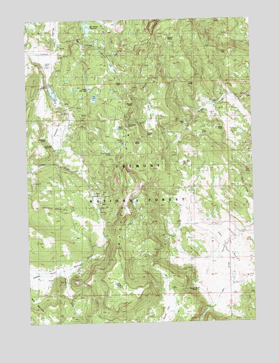 Arkansas Flat, OR USGS Topographic Map
