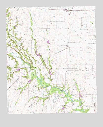 Era, TX USGS Topographic Map