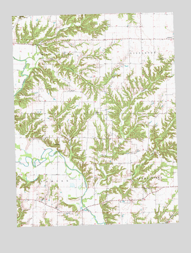 Erwin, IL USGS Topographic Map