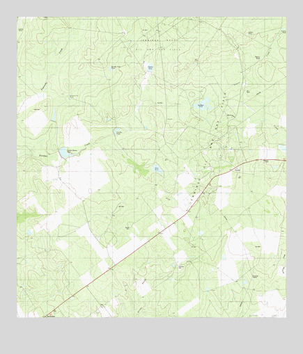 Escobas, TX USGS Topographic Map